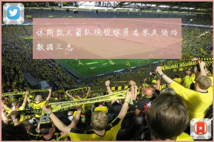 休斯敦火箭队现役球员名单及场均数据汇总