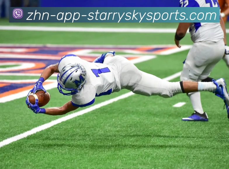 星空体育平台生态图